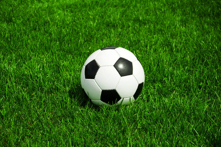 篮球比分数据网用户使用场景